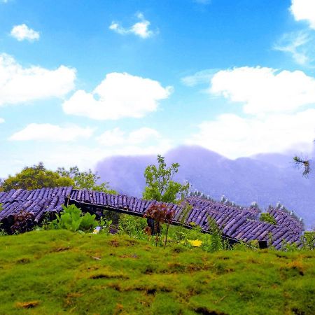 Mimosa Villa Tam Ðảo Exteriör bild