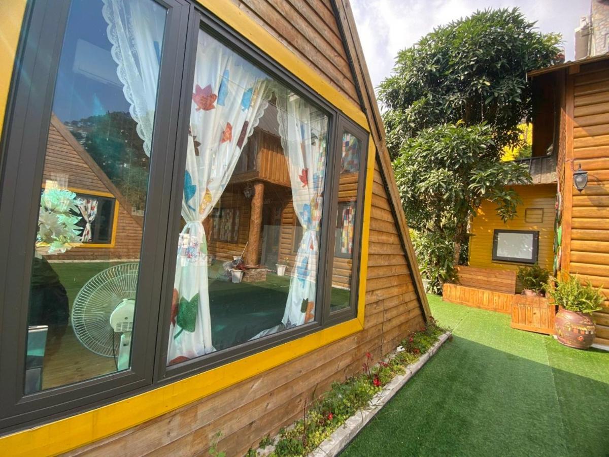 Mimosa Villa Tam Ðảo Exteriör bild
