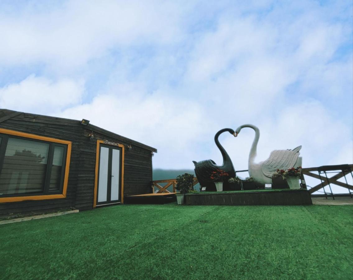 Mimosa Villa Tam Ðảo Exteriör bild