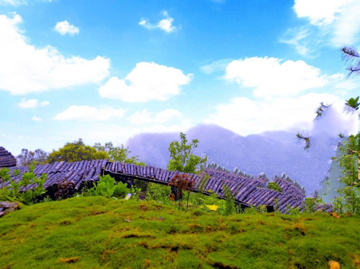 Mimosa Villa Tam Ðảo Exteriör bild