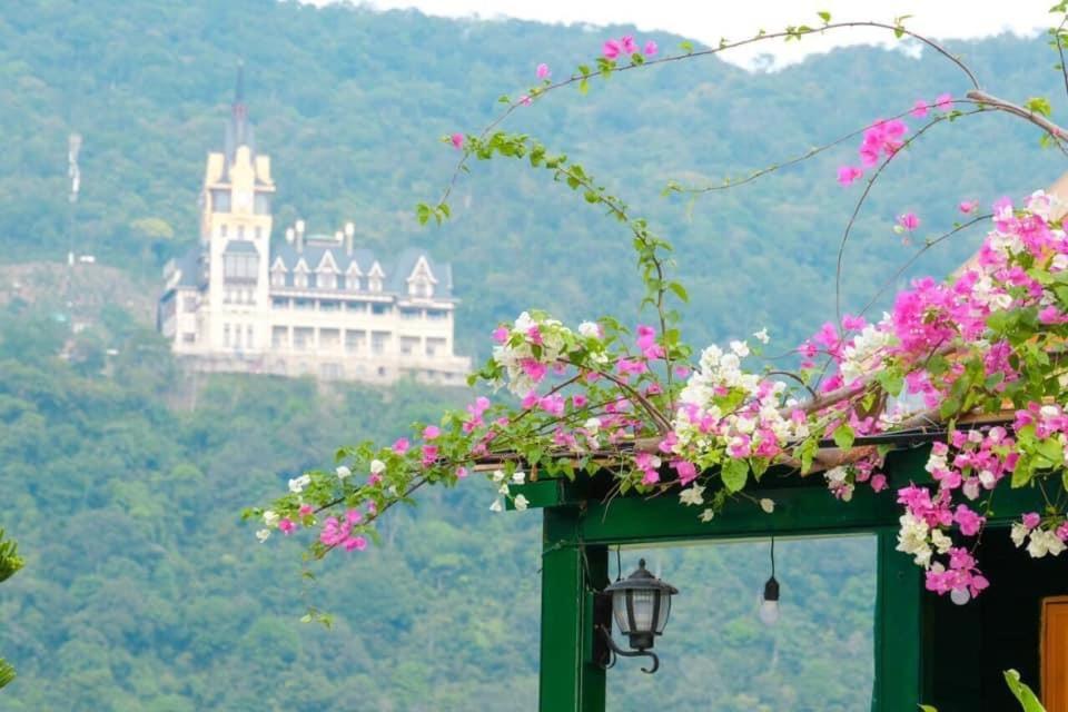 Mimosa Villa Tam Ðảo Exteriör bild