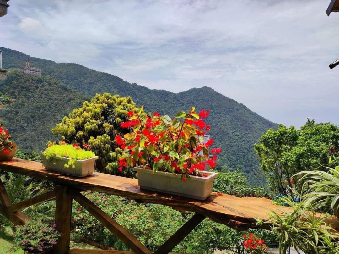 Mimosa Villa Tam Ðảo Exteriör bild